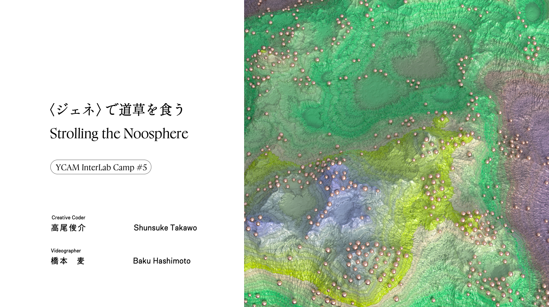 strolling the noosphere